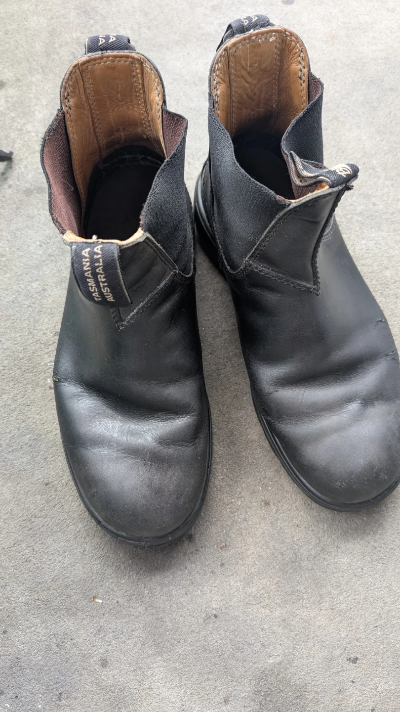 Blundstones Female Chelsea Boots
