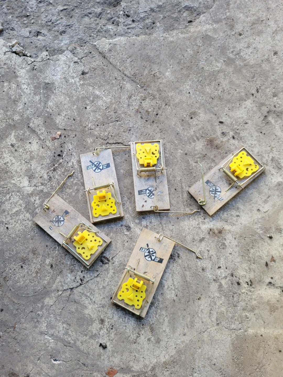 Five The Pest Expert Mouse Traps