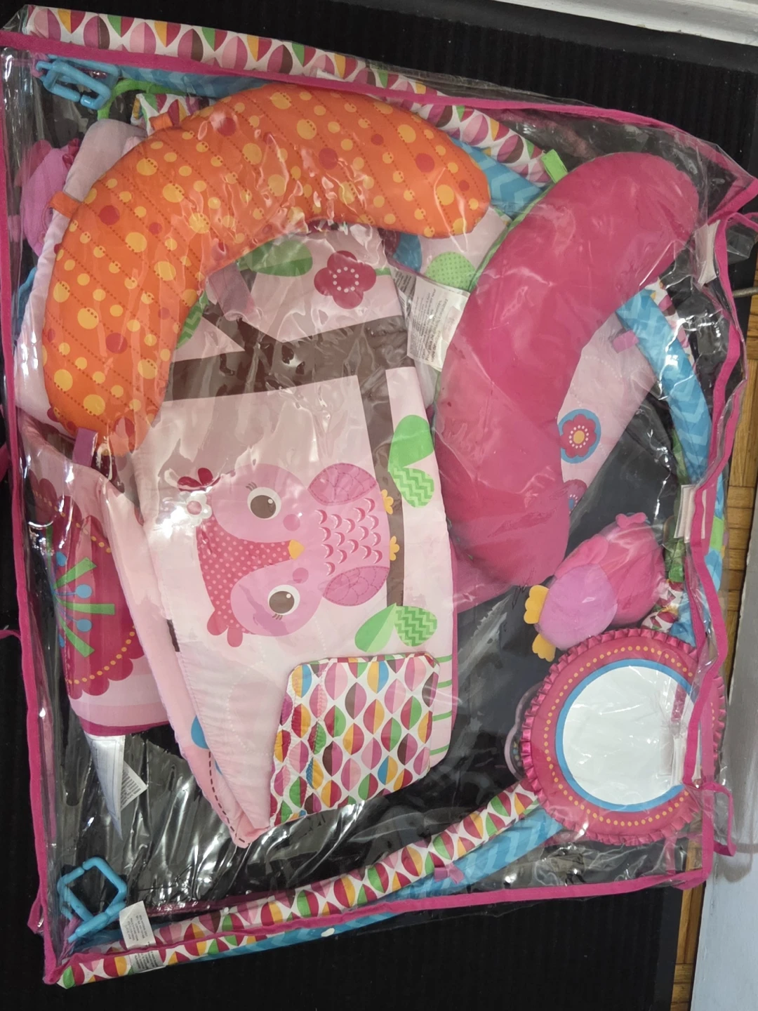 Bright Starts Sweet Songbirds Baby's Play Place
