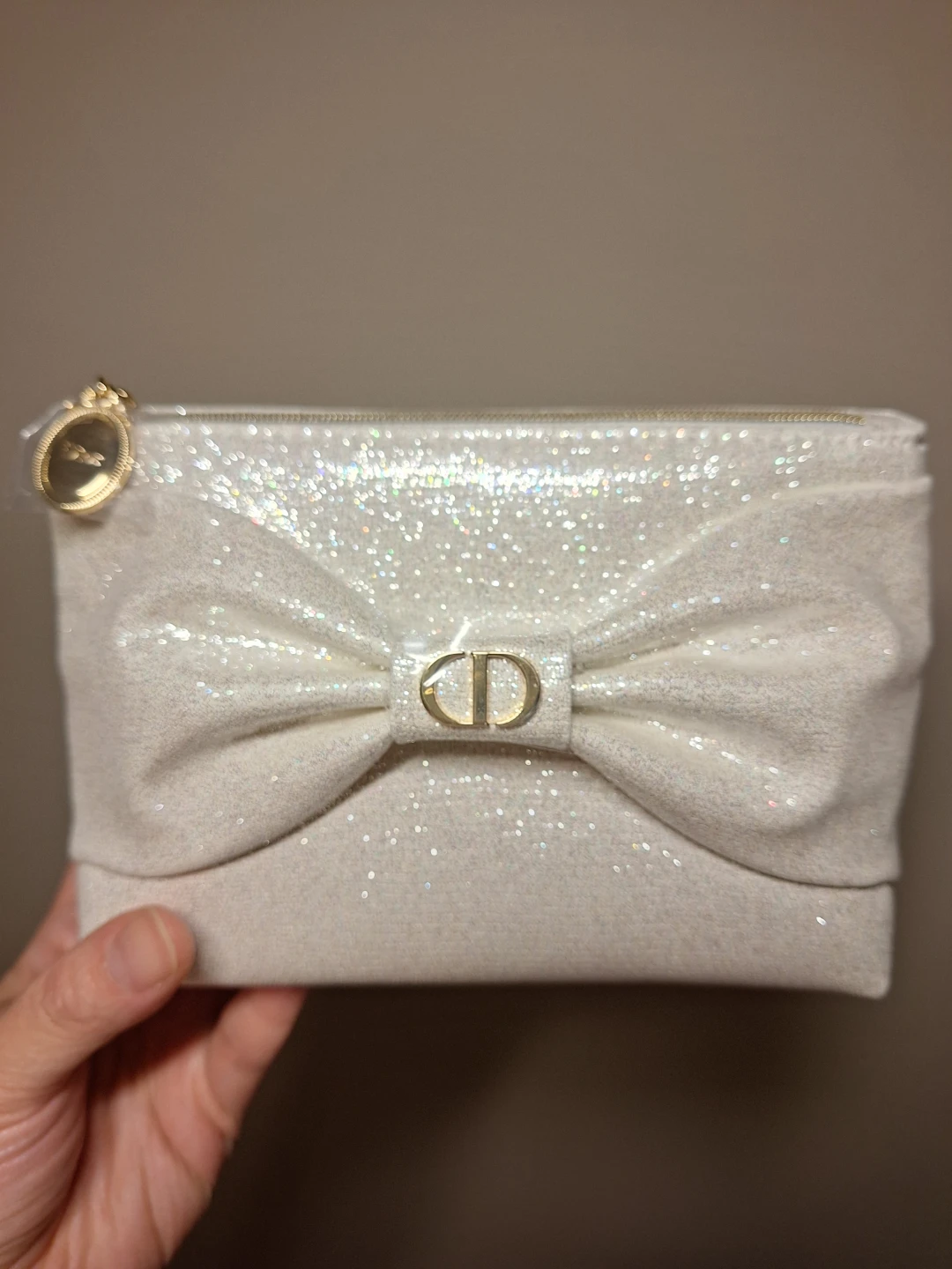 DIOR Cosmetic Pouch