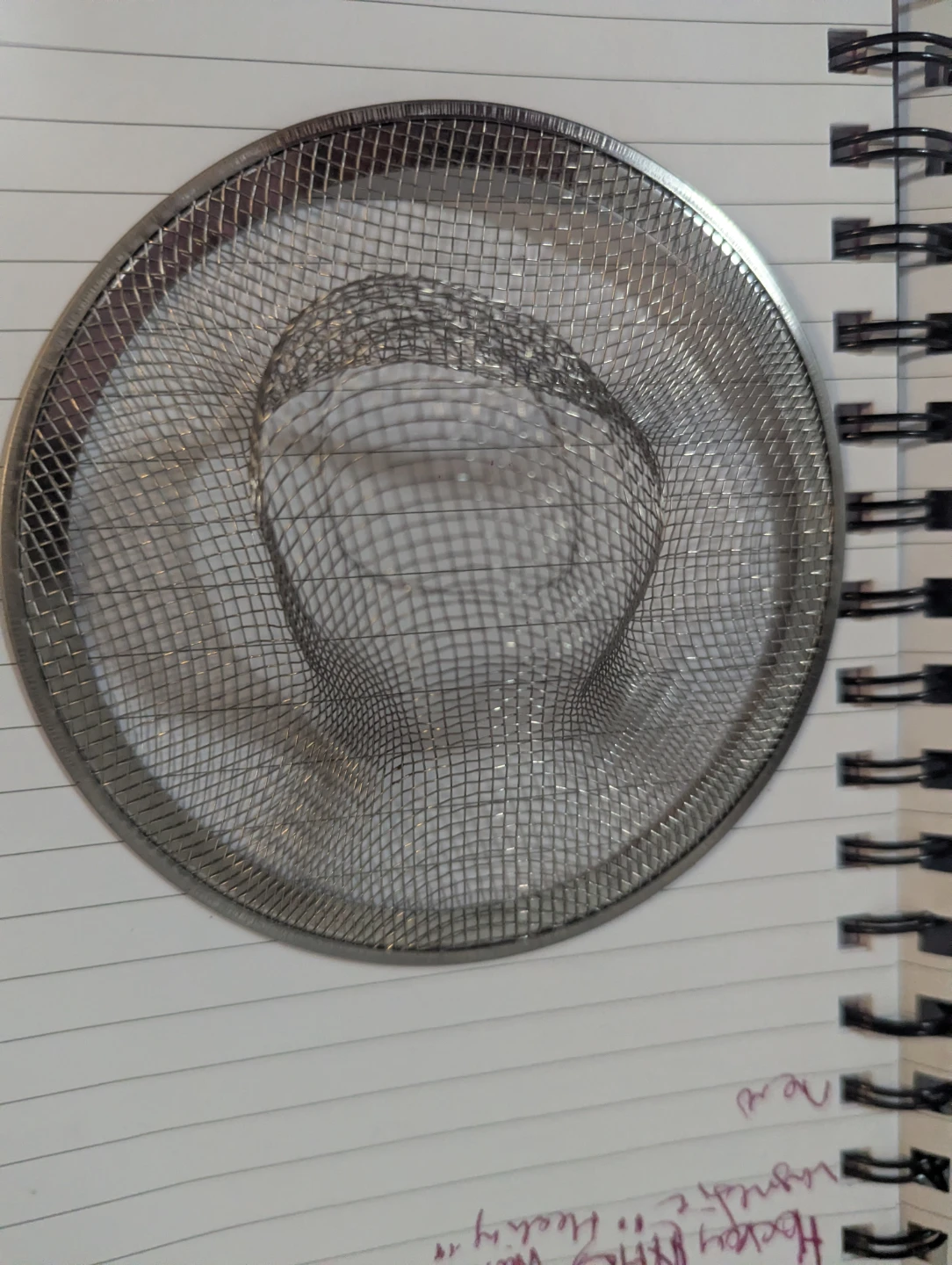 Stainless Steel Sink Strainer