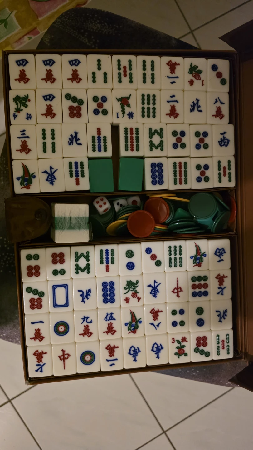 Mahjong Set in Brown Crocodile-Pattern Case - photo 3