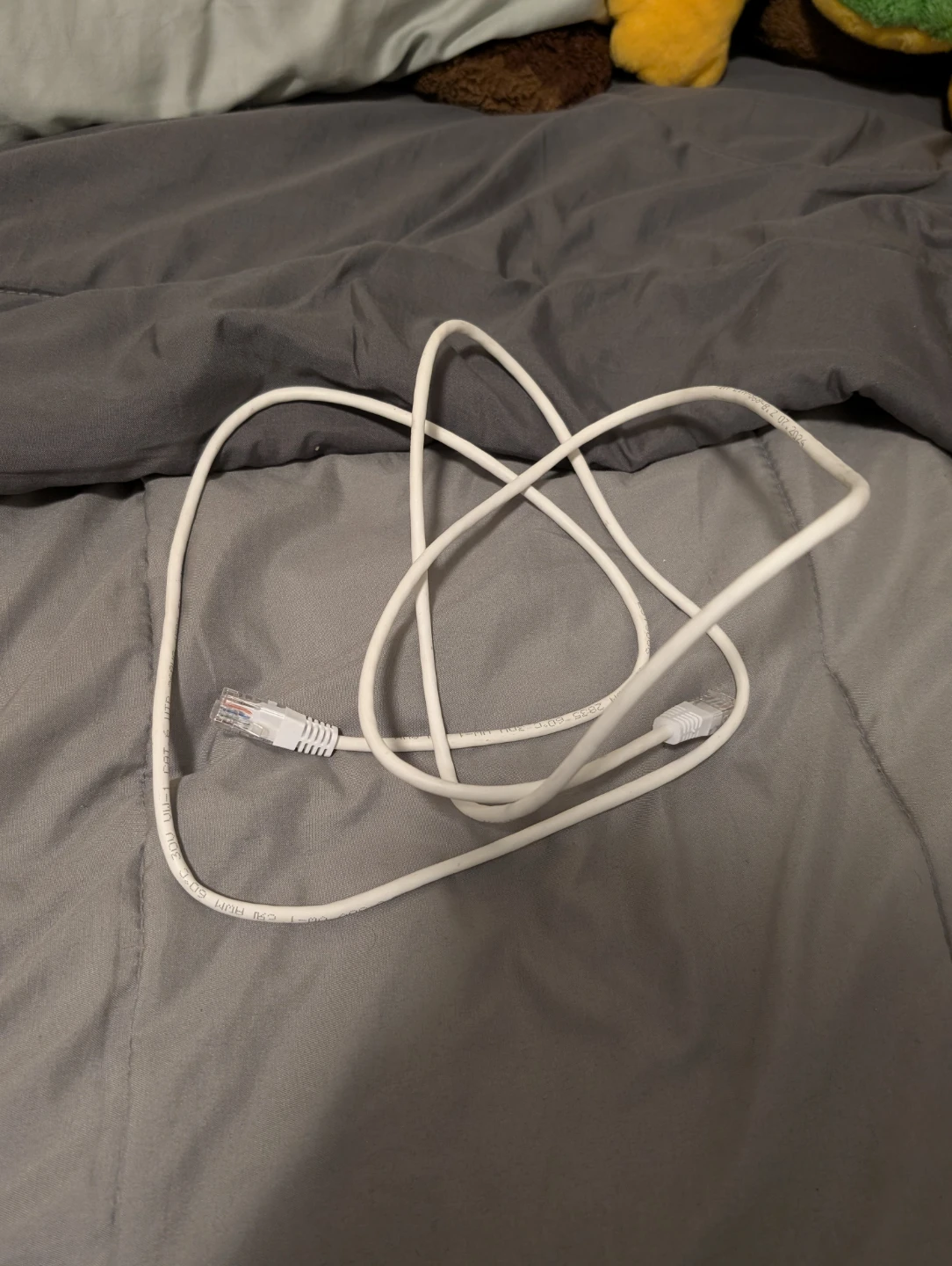White Ethernet Cable