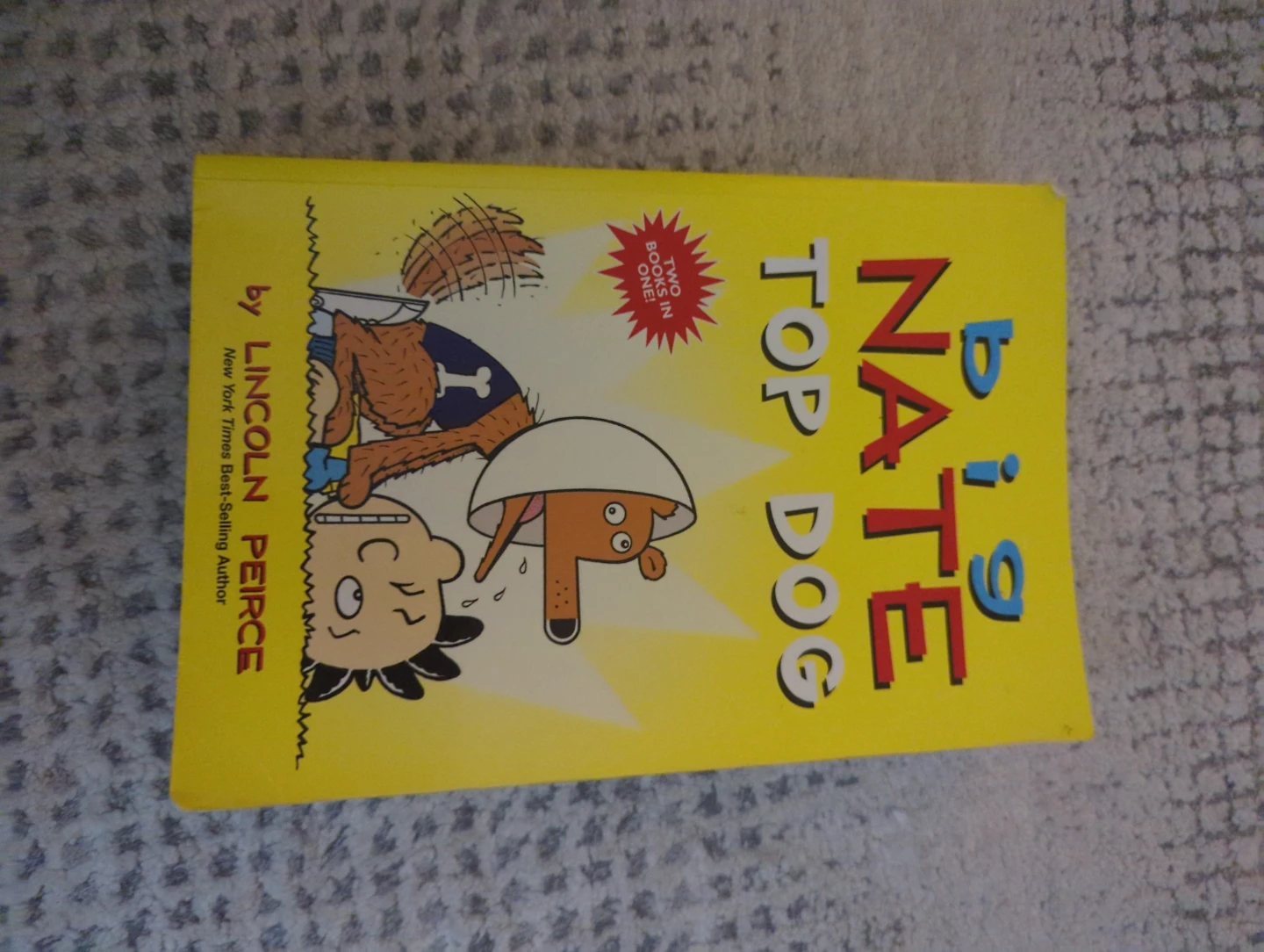 Big Nate: Top Dog