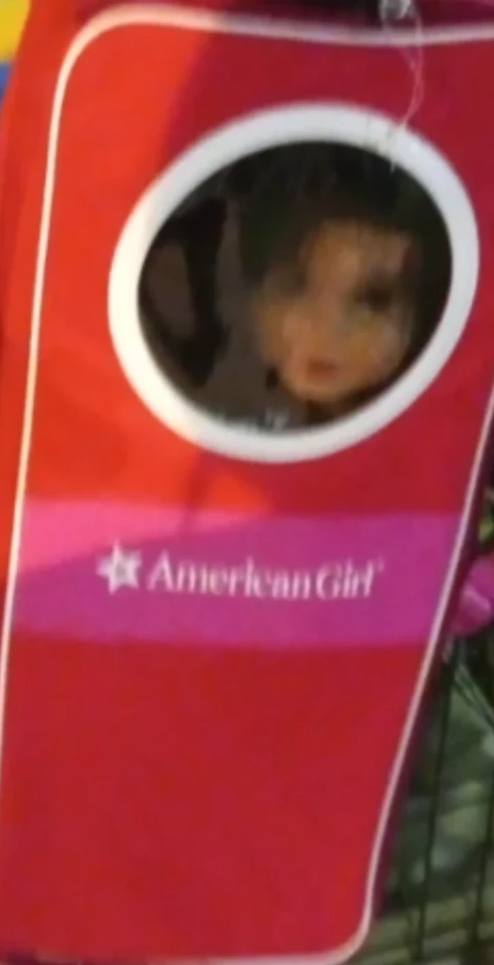 American Girl Doll w/ Carrier