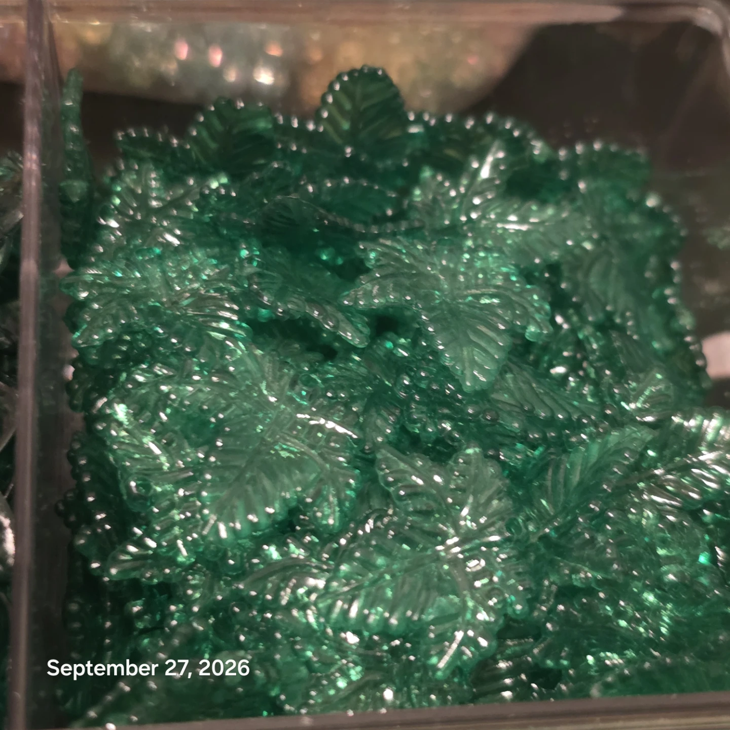 Assorted Acrylic Leaf Craft Beads - photo 4