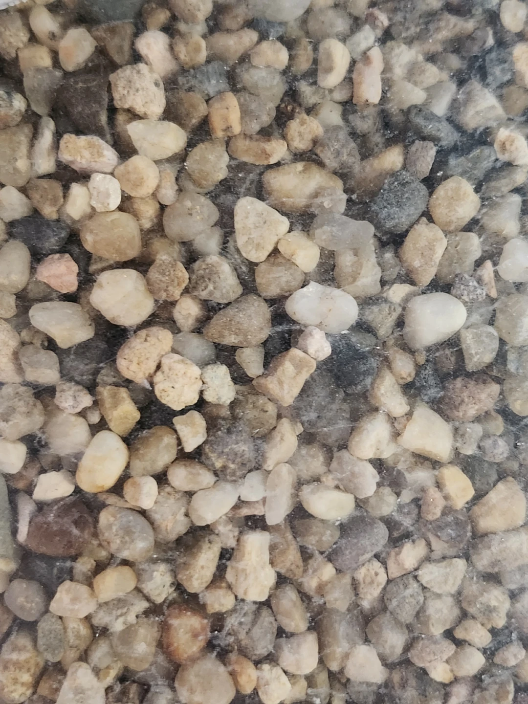 Assorted Decorative Aquarium Gravel - photo 4
