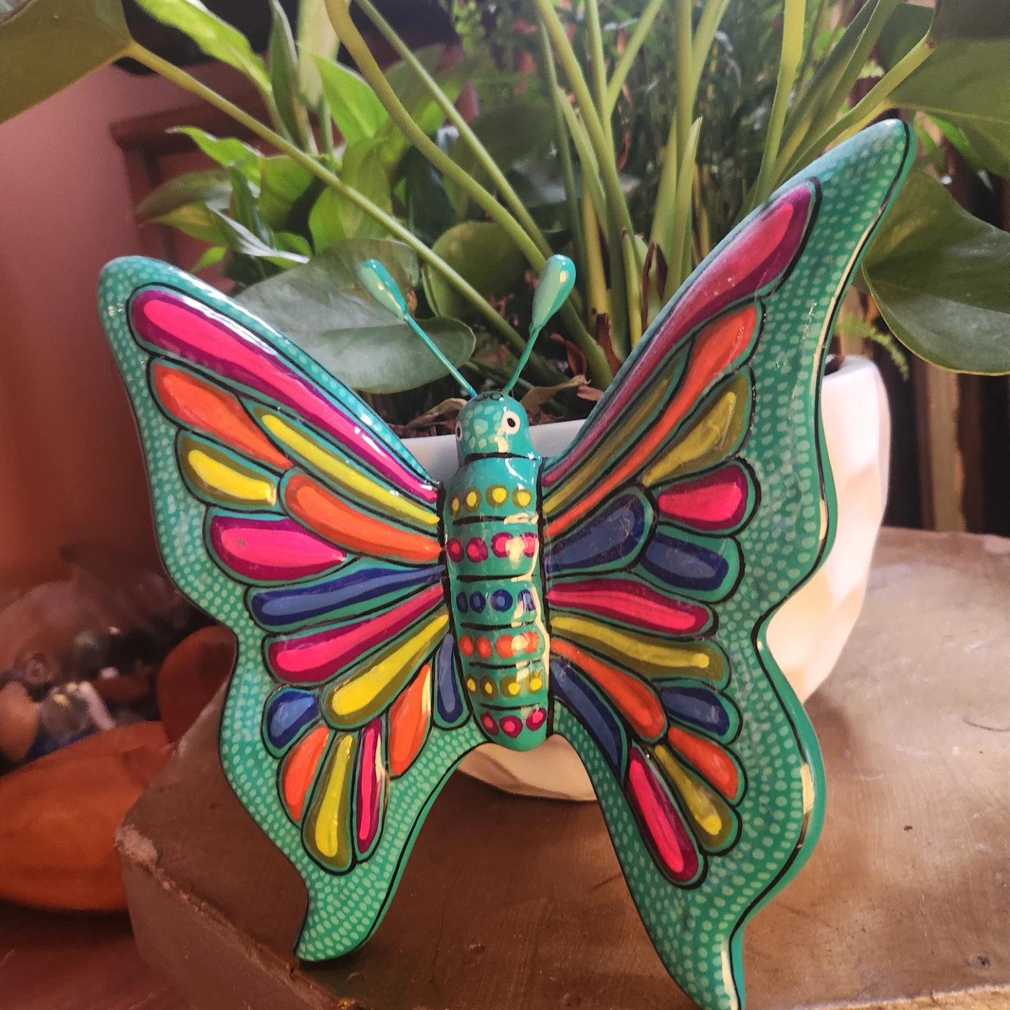 Butterfly 🦋 - photo 2
