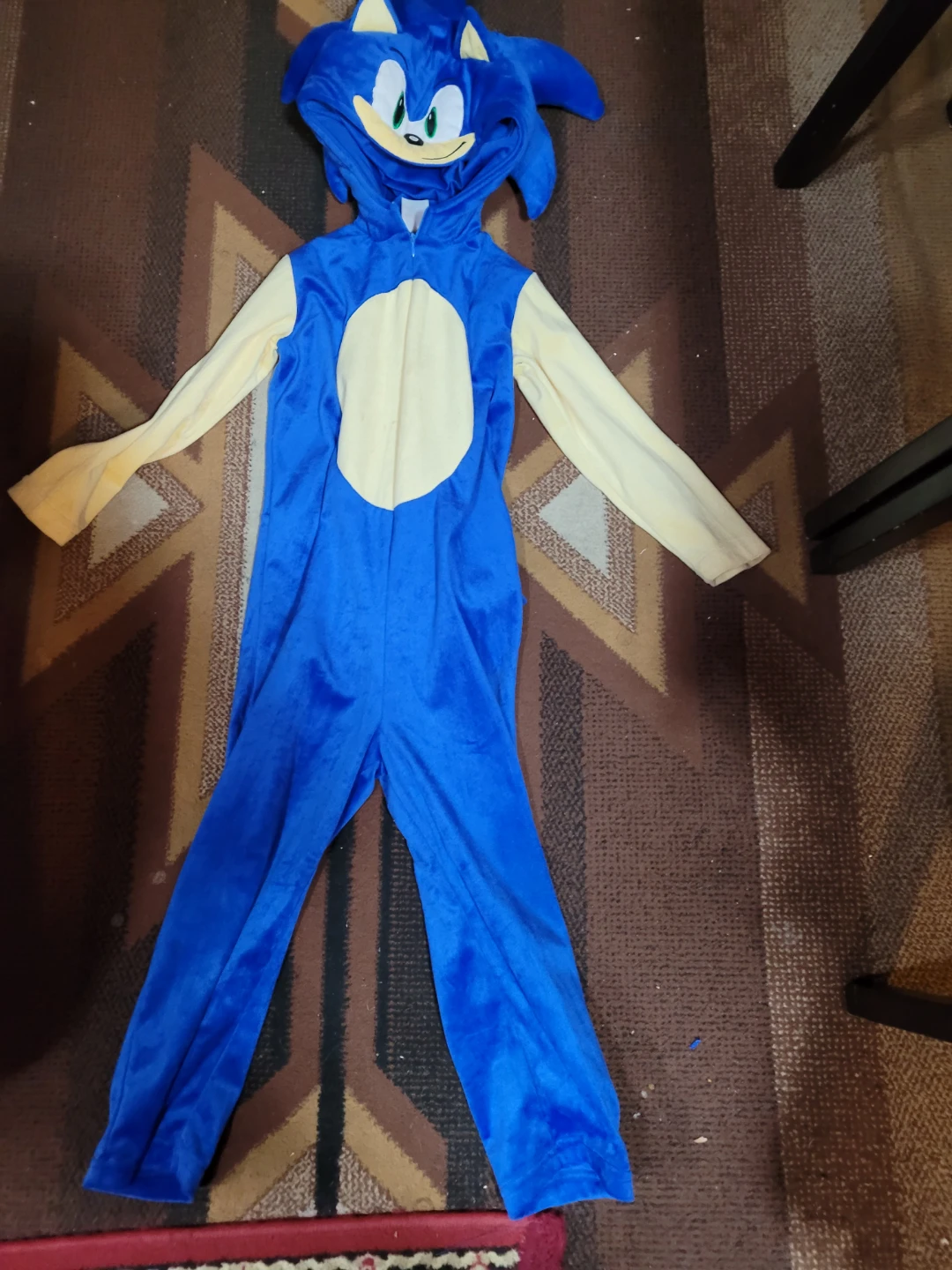 Sonic Costume.