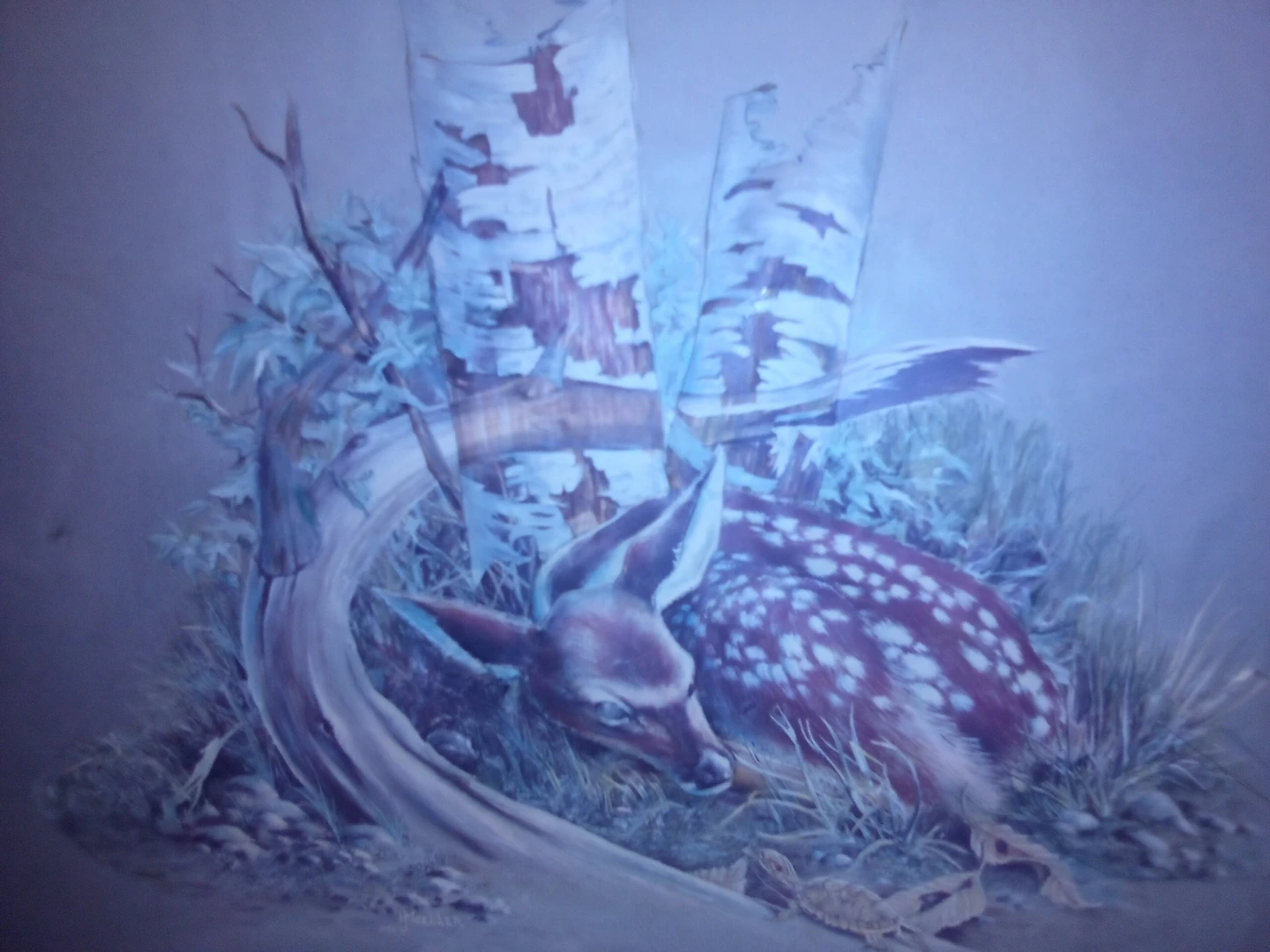 Fawn and Birch Tree Art Print - photo 2
