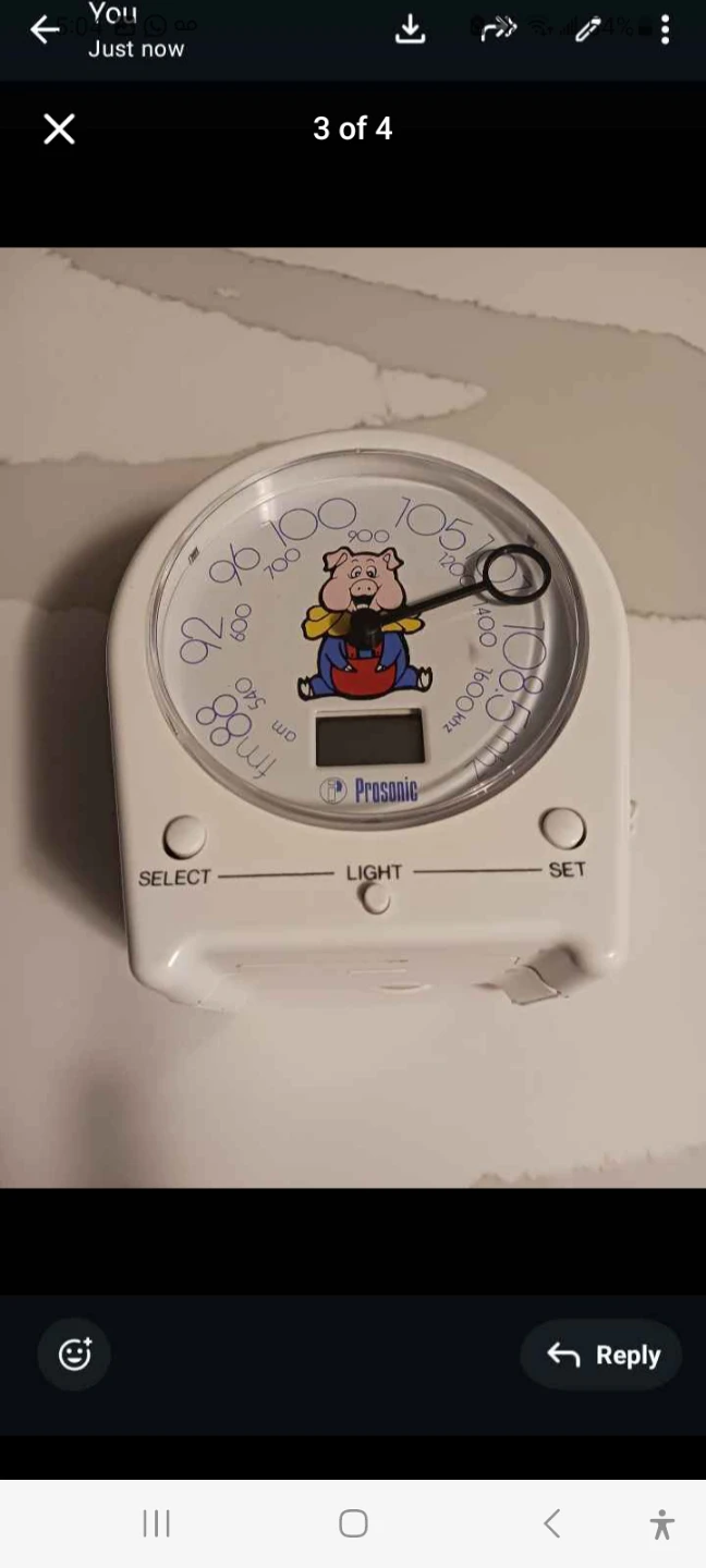 Prosonic Pig Novelty AM/FM Radio Alarm Clock - photo 3