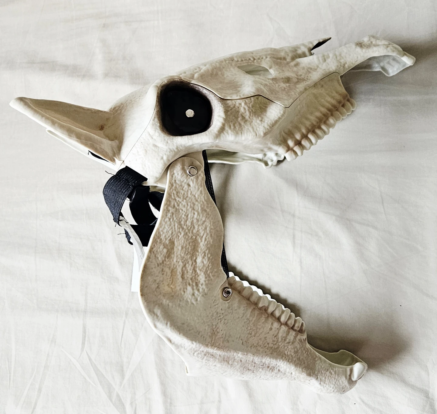 Horse Skeleton Skull Mask 🐎 - photo 4