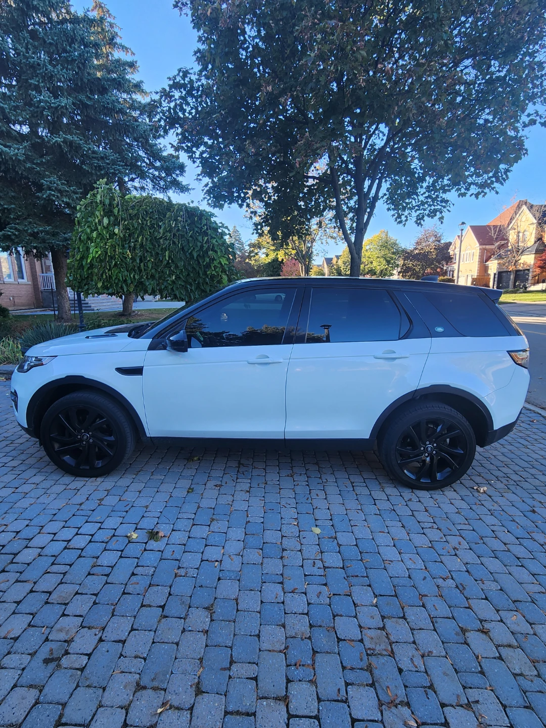 2017 Land Rover Discovery Sport HSE Luxury - photo 2