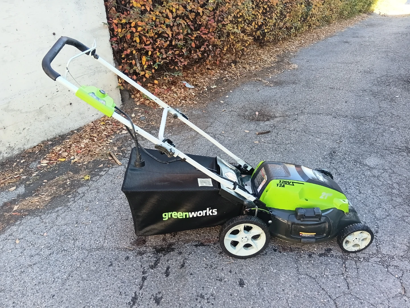 Greenworks Premium 21-inch Electric Lawnmower