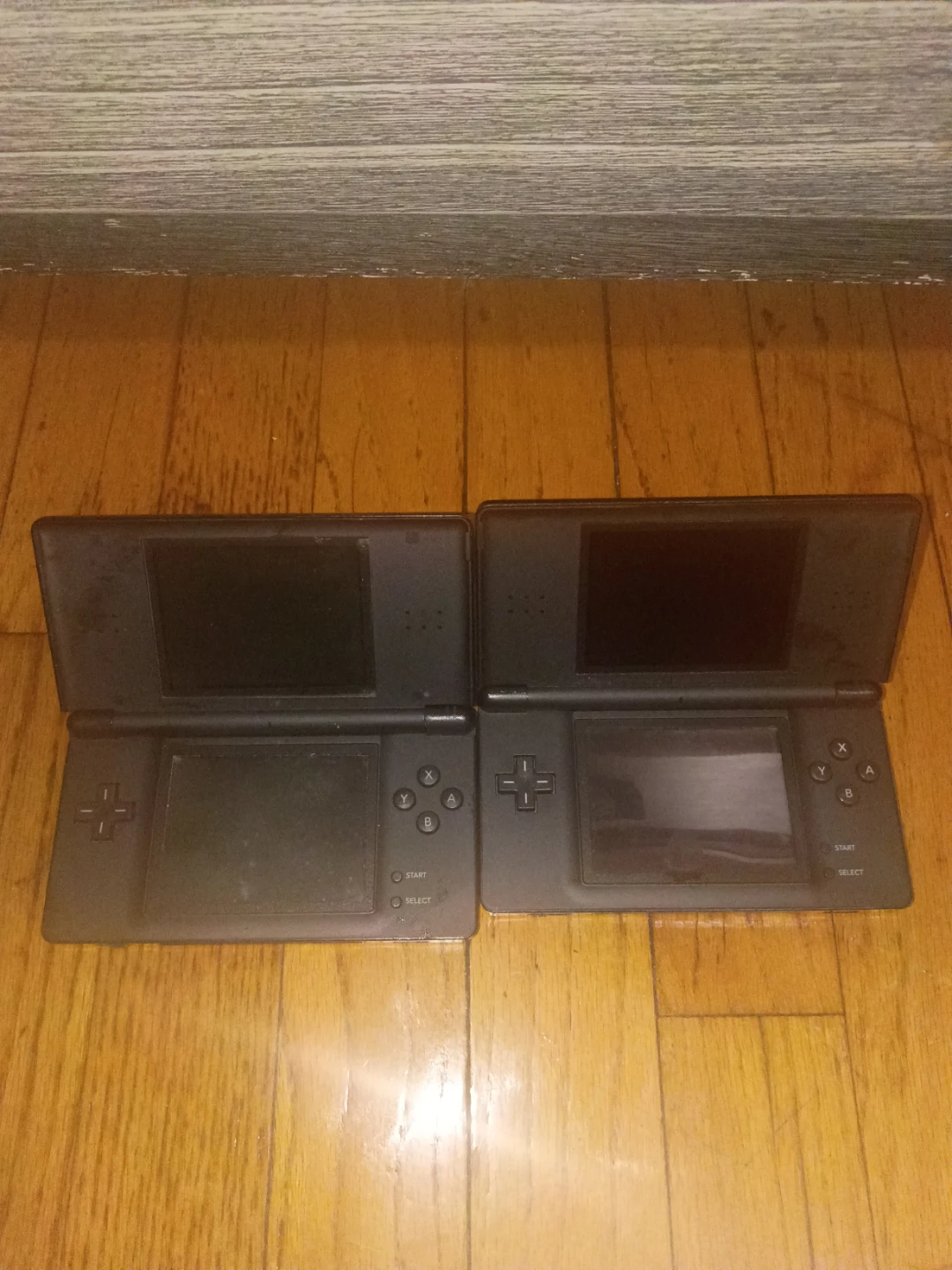2 Nintendo DS Lite handheld consoles