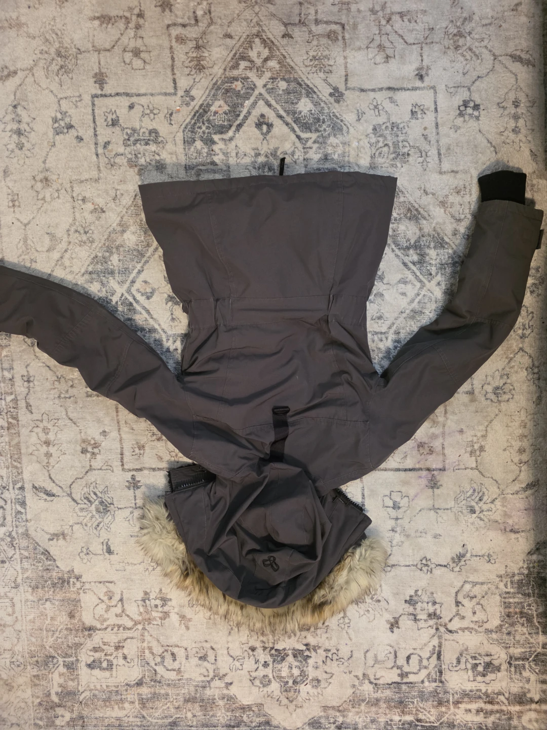 Tna Larsen Parka (Aritzia) - photo 2