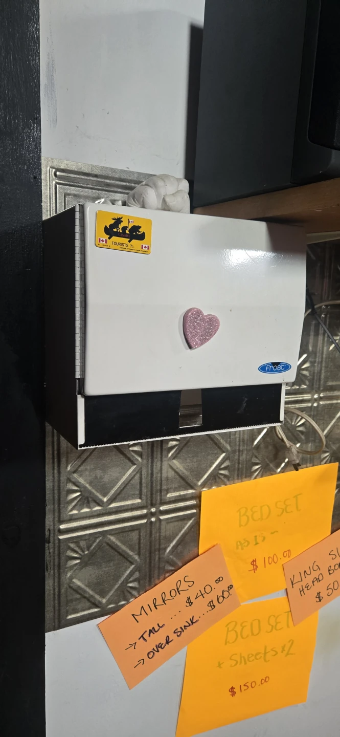 Frost Paper Towel Dispenser