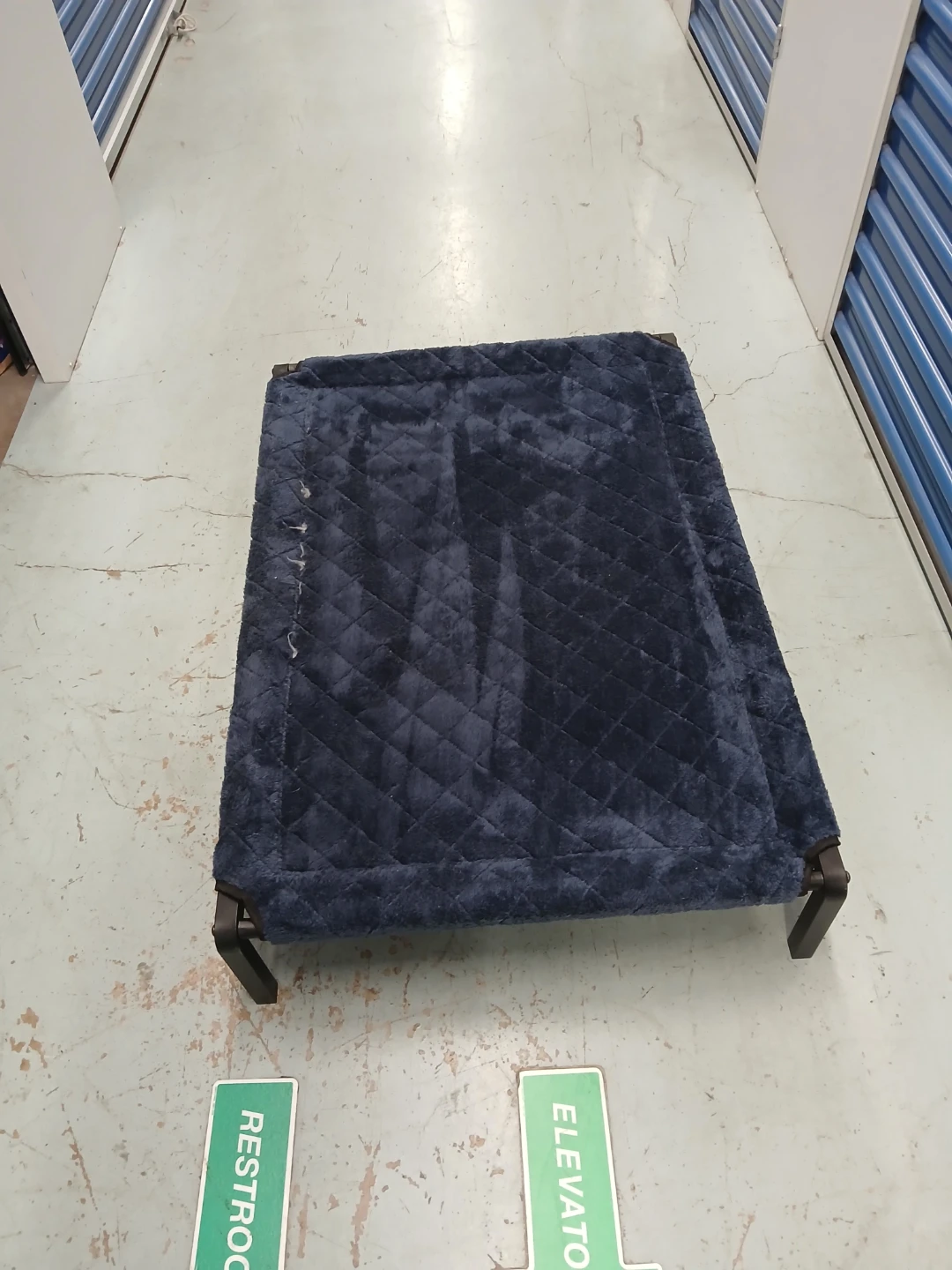 Raised Pet Bed Blue