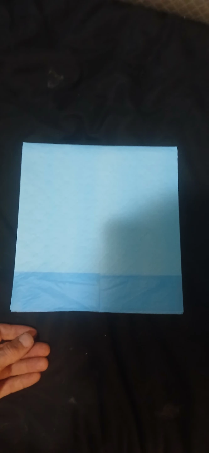 Alliance Disposable dog pee pads 17 x 24 in - photo 4