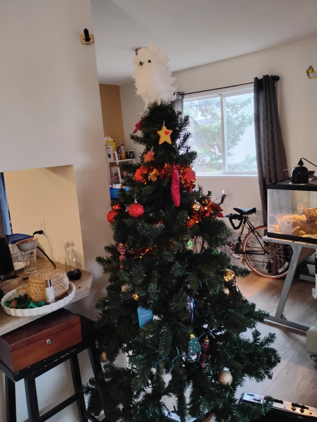 Christmas tree and decorations