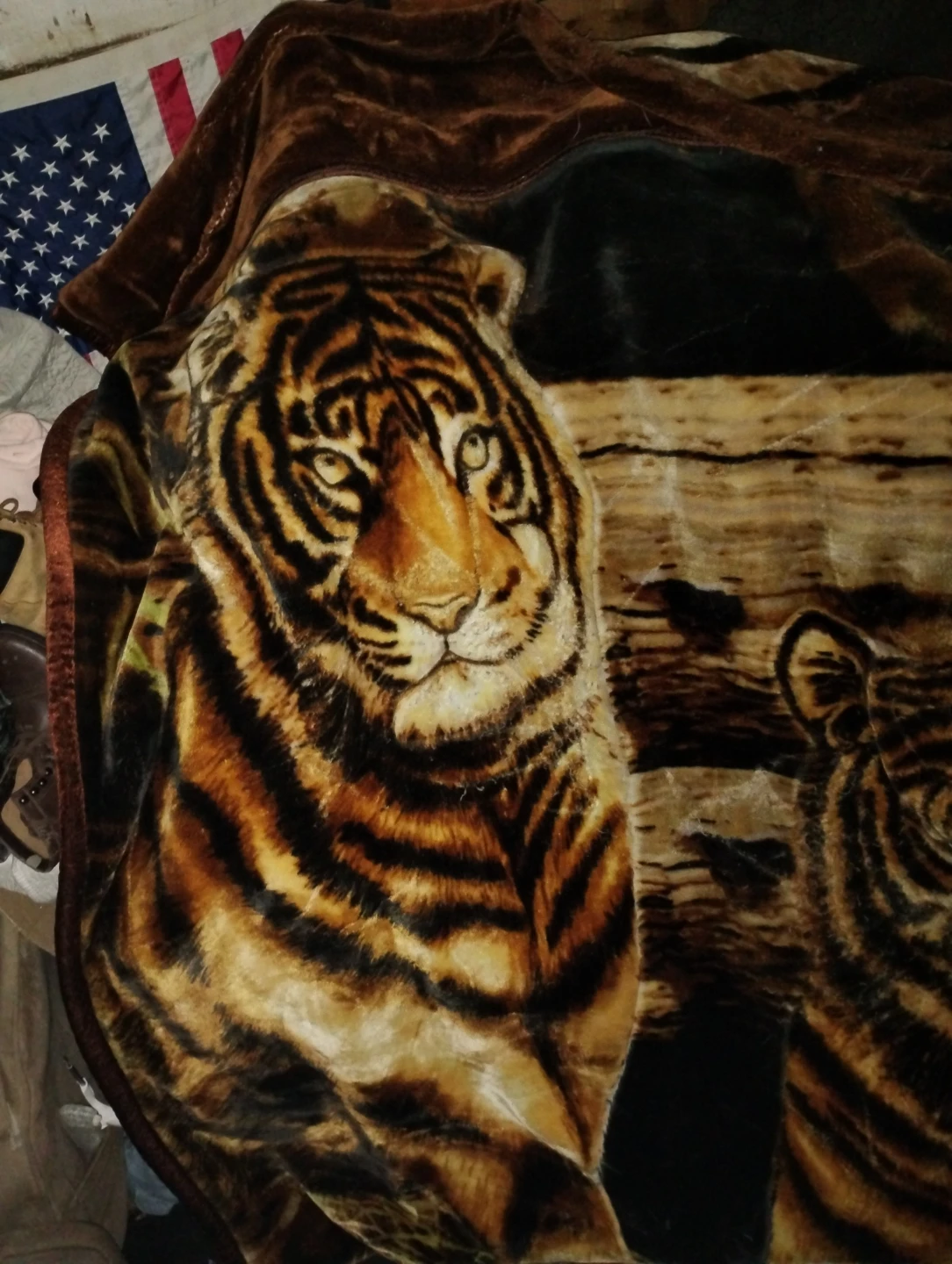 Tiger Print Plush Blanket