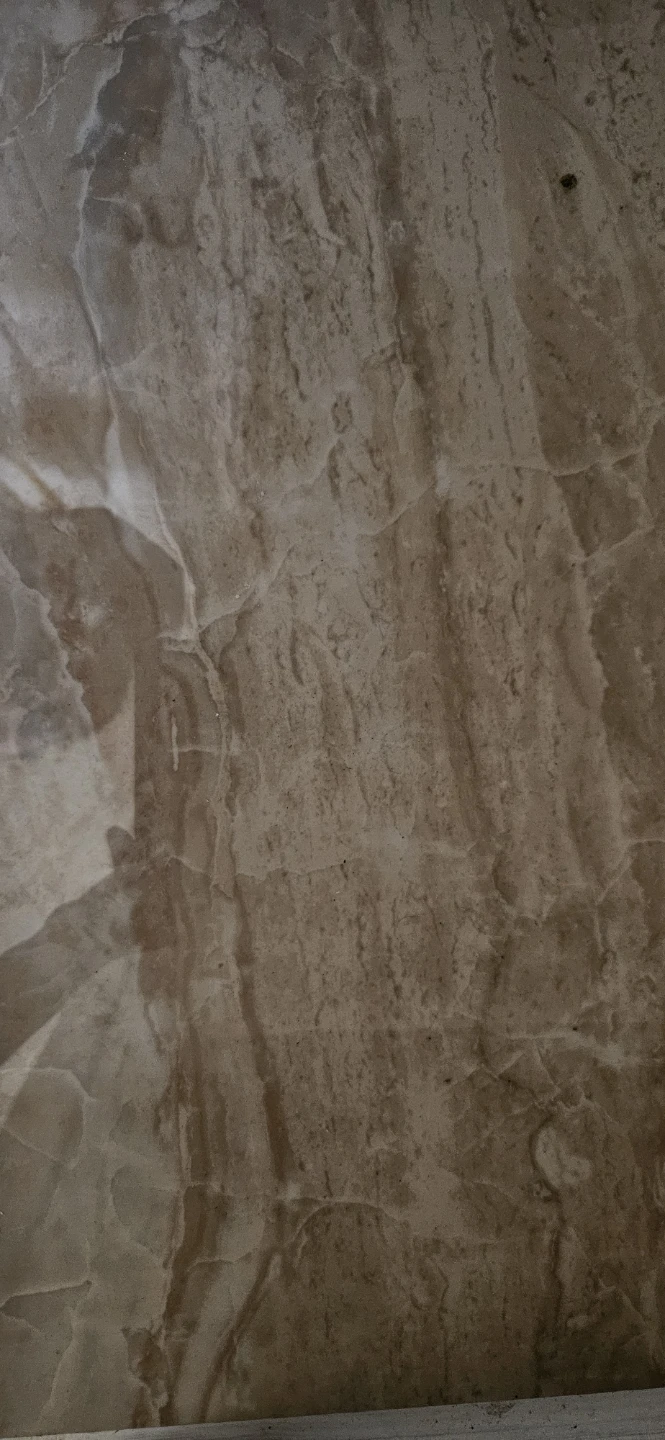 Rectified Glazed Porcelain Tiles - photo 2
