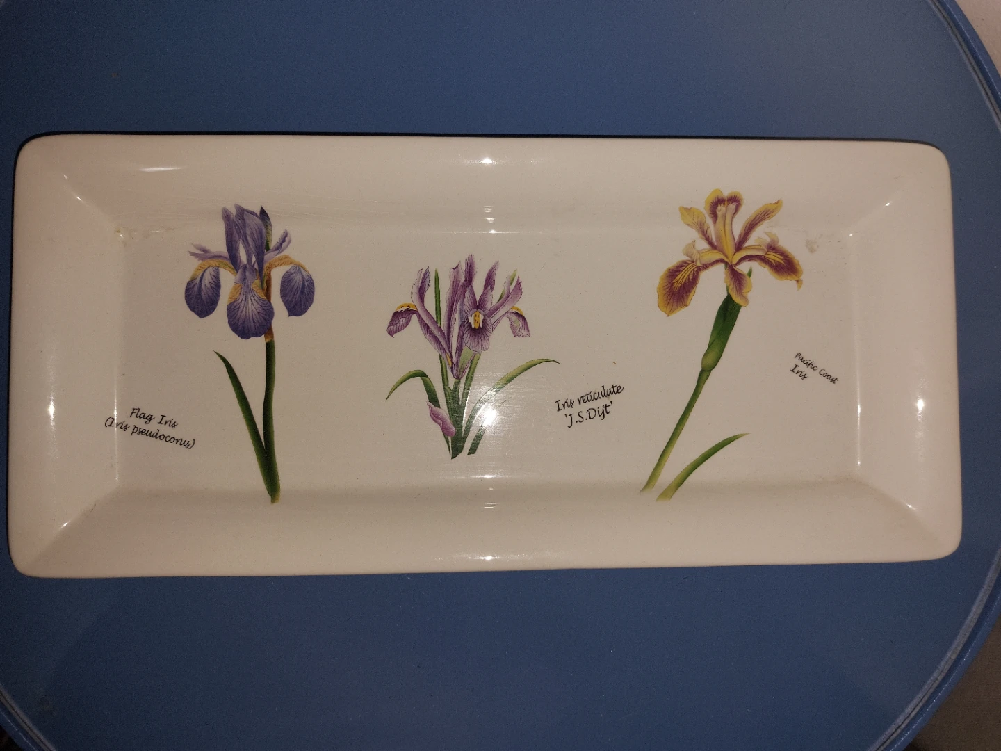 Skye McGhie Irises Rectangular Serving Tray