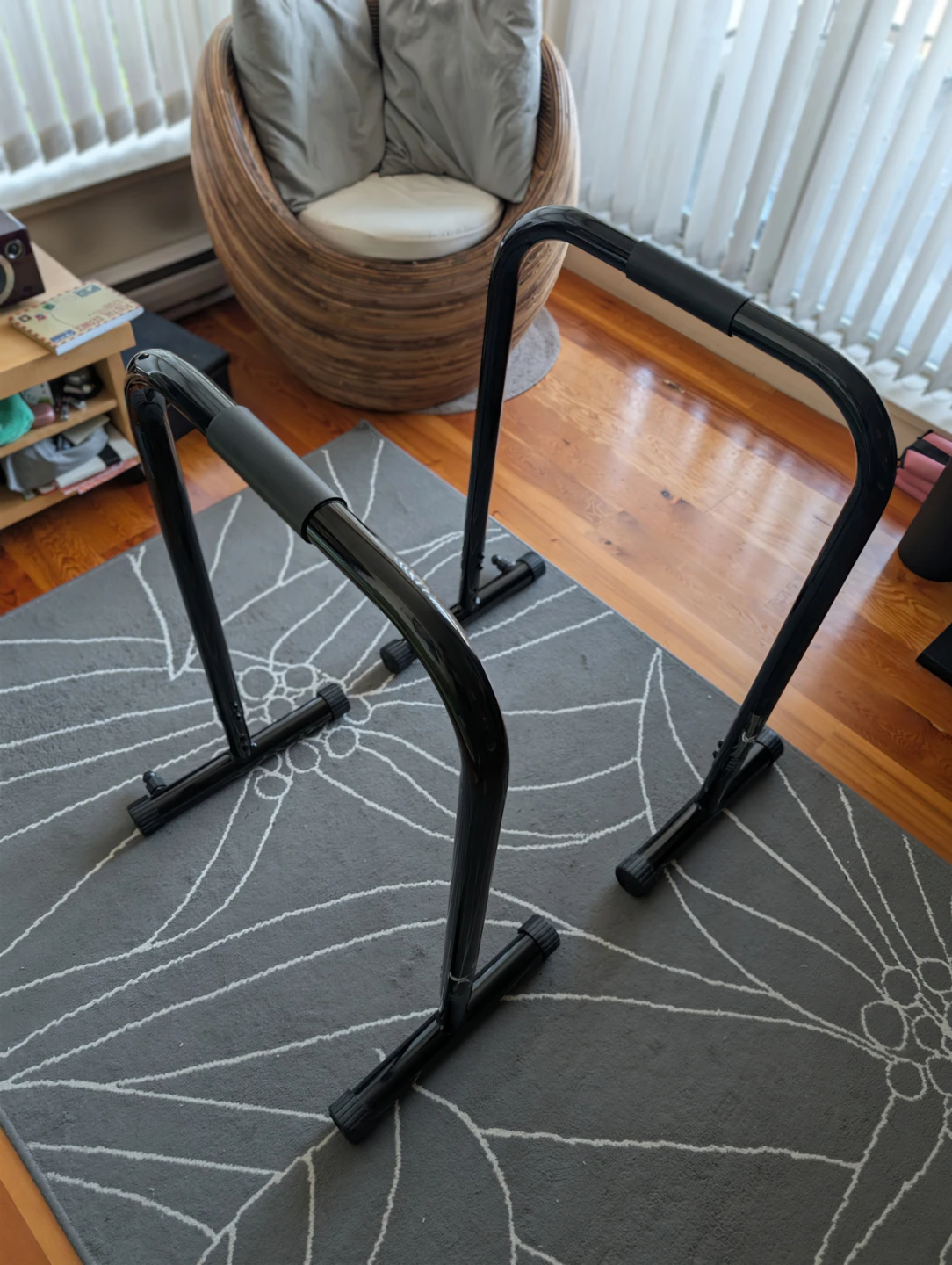 Black Steel Dip Bars
