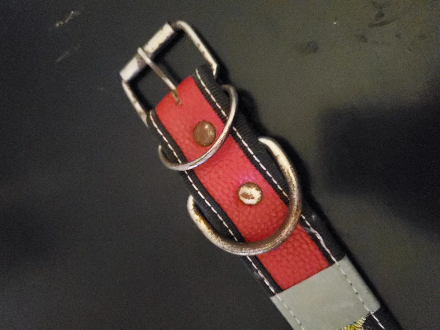 Dog collar with red and patterned design - photo 5