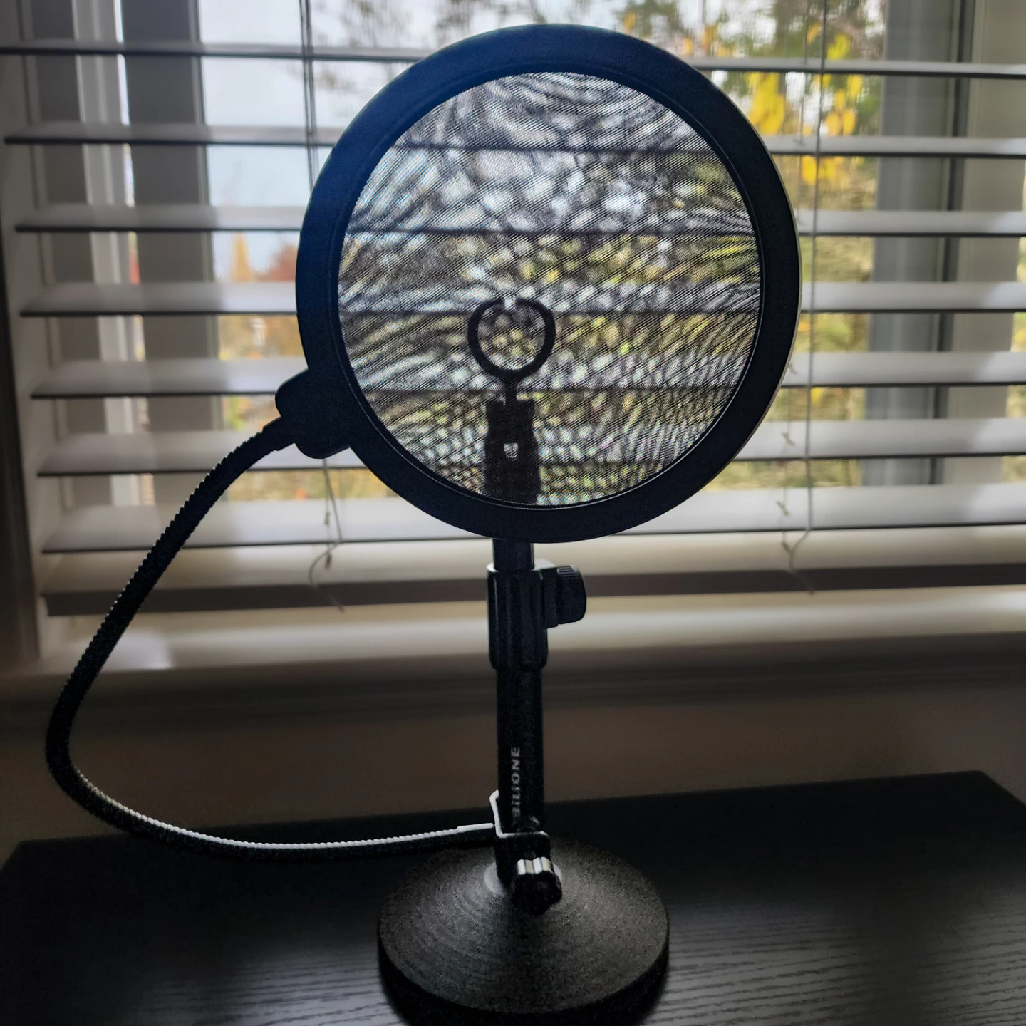 Desktop Microphone Stand with Pop Filter