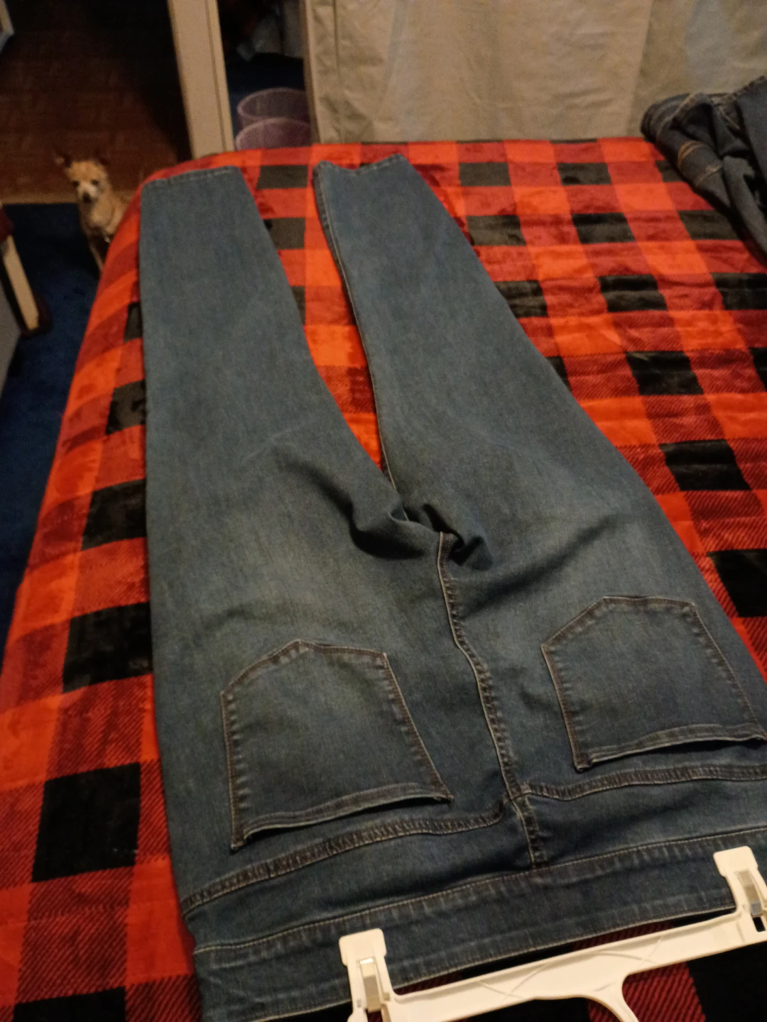 Blue Denim Pull-On Jeans - photo 2