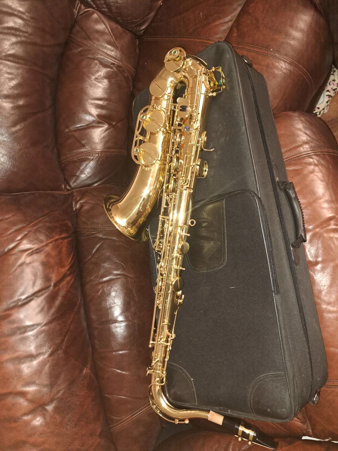 Gold Tone Saxophone with Carrying Case