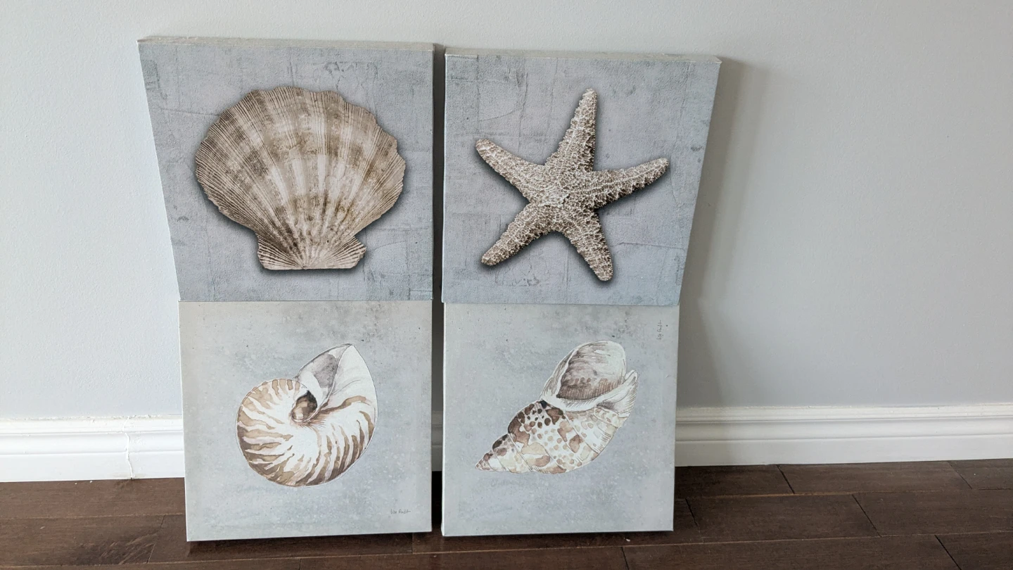 Set of 4 Coastal Seashell Canvas Wall Art