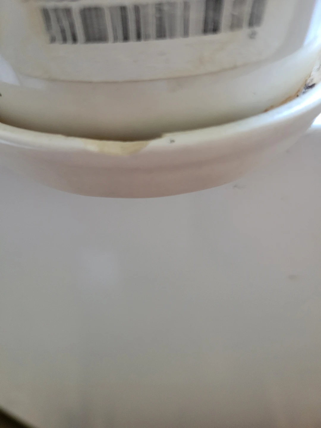 Rae Dunn LUSH Planter - photo 2