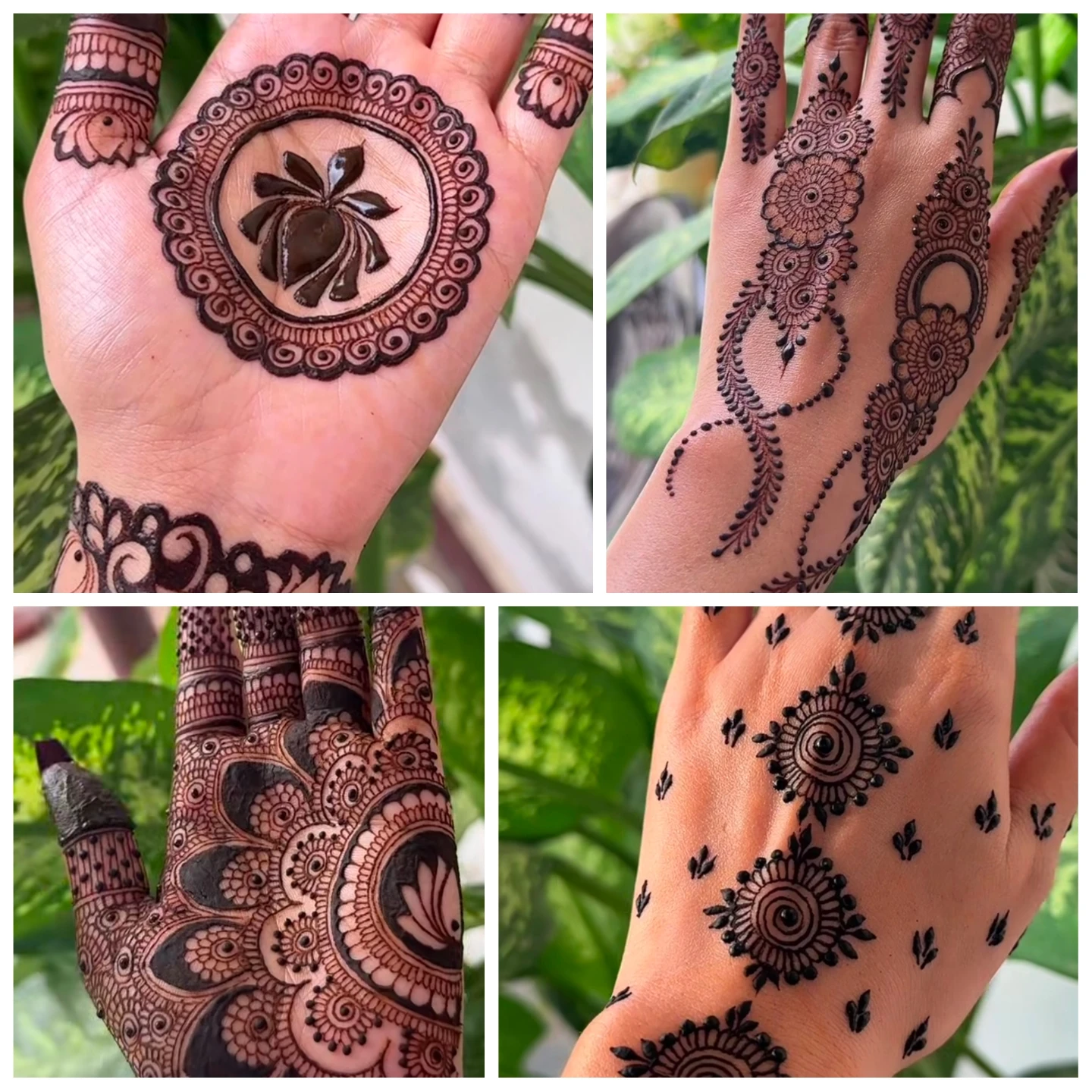 Karwachowth heena - photo 2