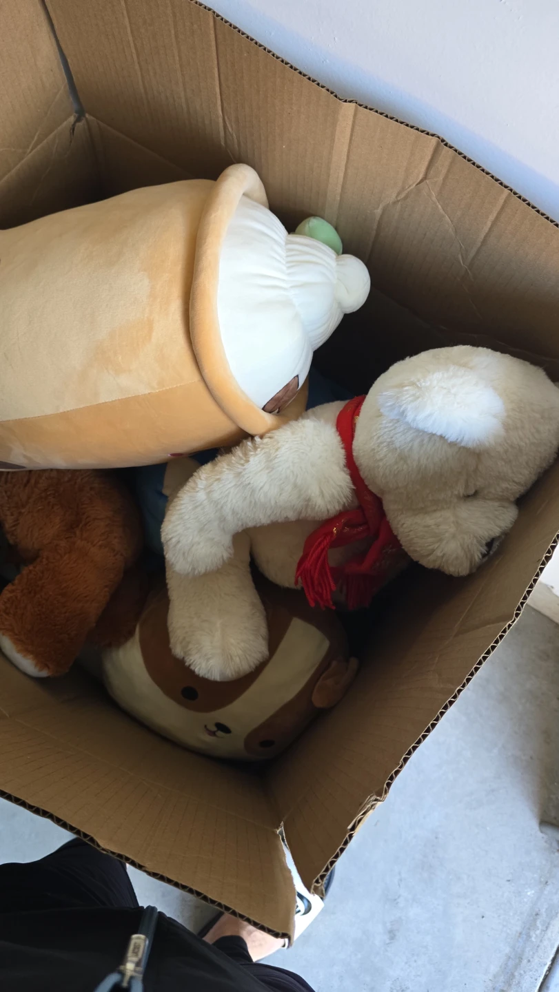 Assorted Plush Toys Bundle - photo 2