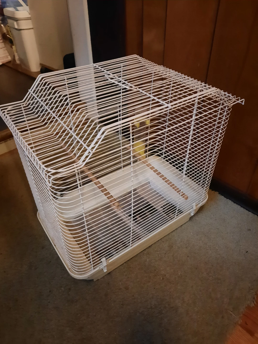 Bird cage