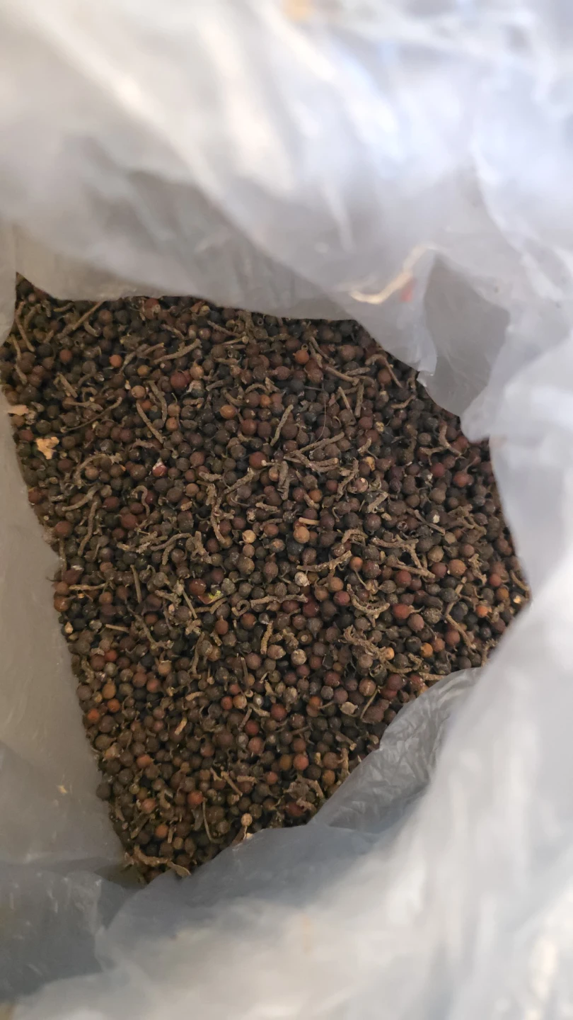 Uziza seed - photo 3
