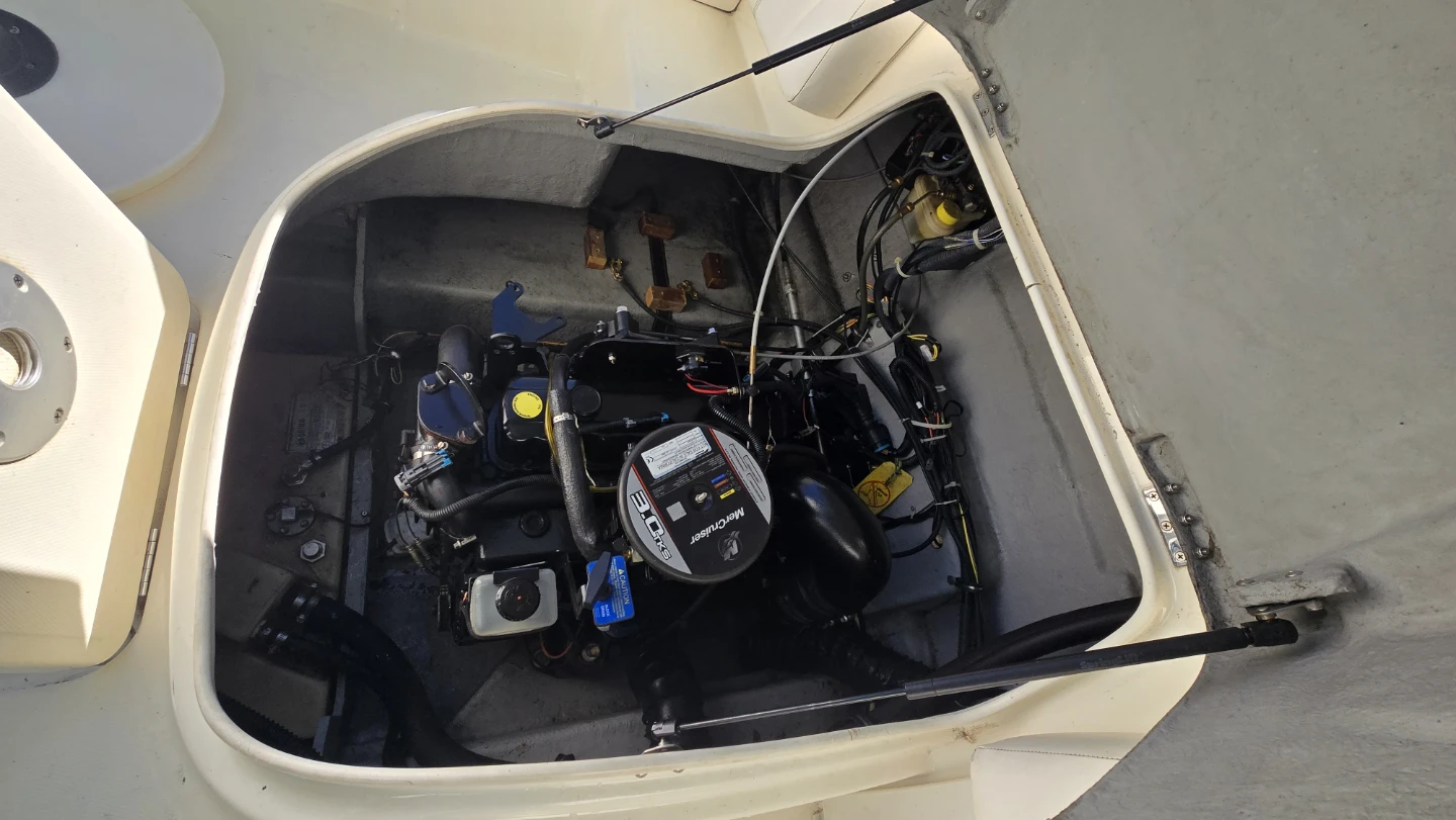 2009 Bayliner 192 Cuddy - photo 5