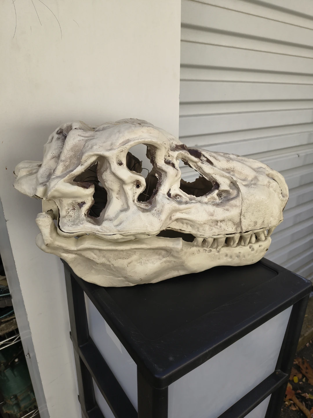 Halloween plastic dinosaur skull