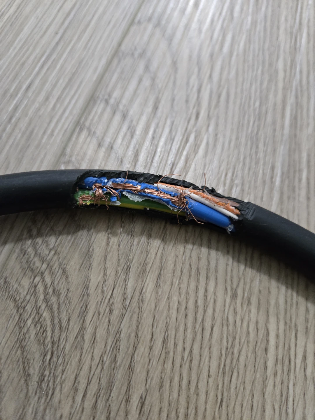 Damaged Subaru Solterra Charging Cable - photo 3