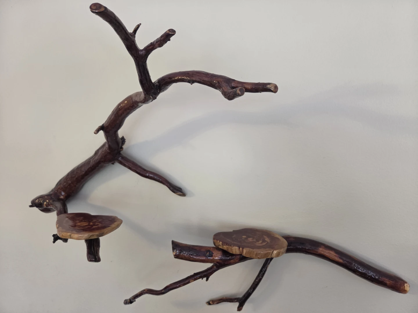 Rustic Driftwood Wall Shelf Set - photo 5