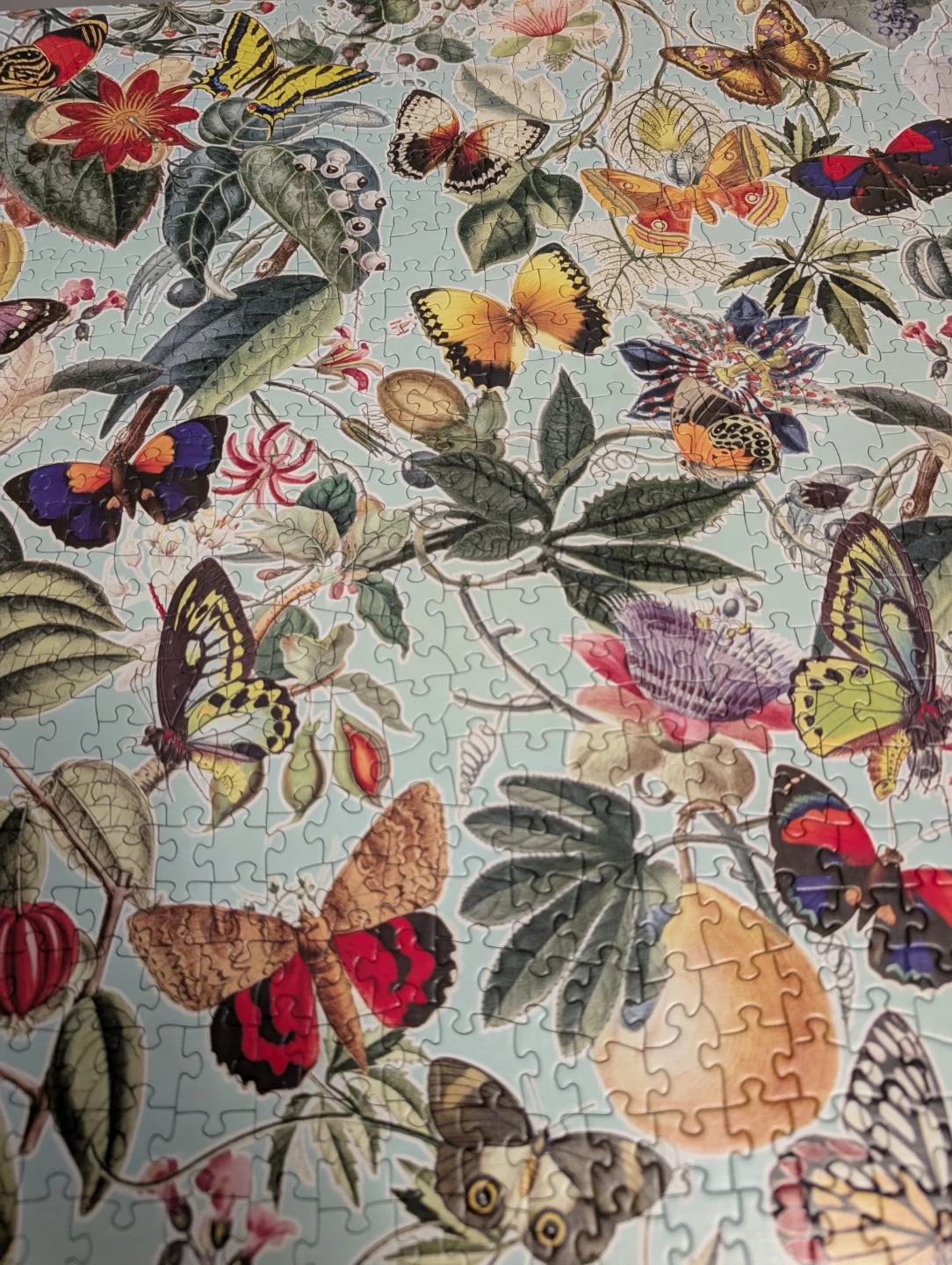 Fruit and Flutterbies 1000 Piece Jigsaw Puzzle 🧩 - photo 5