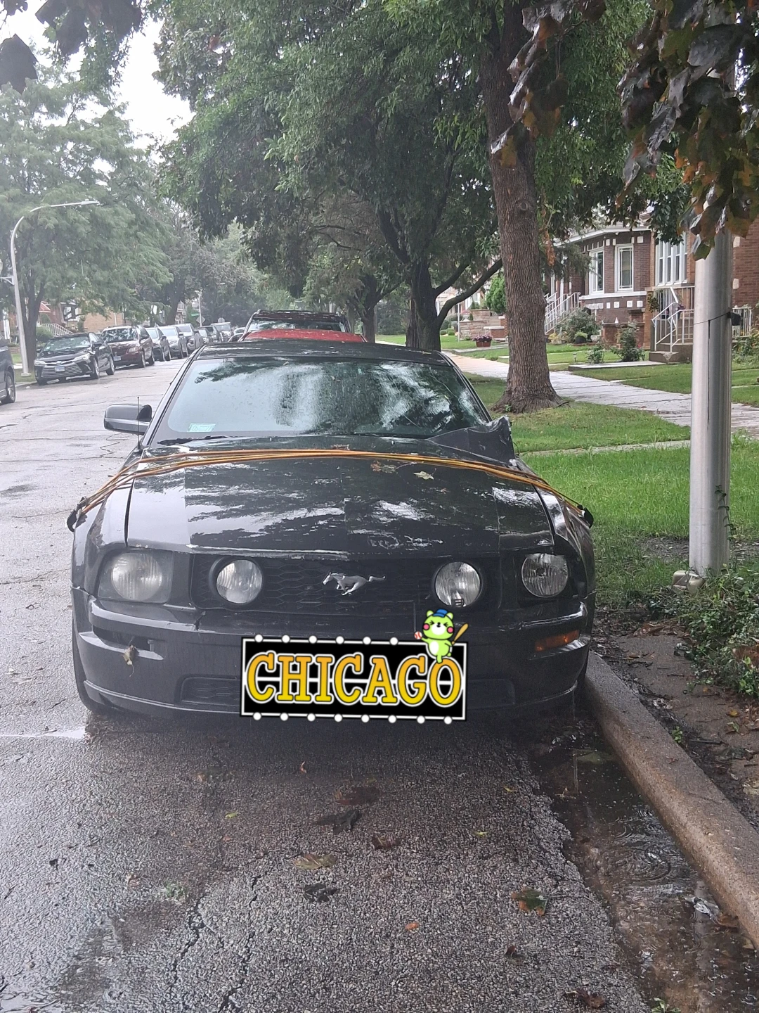 Black Ford Mustang GT - photo 3