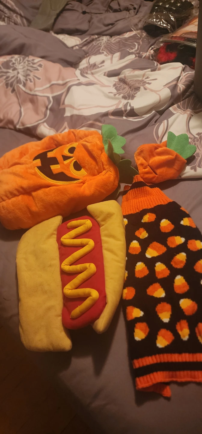 Set of 3 Pet Halloween Costumes