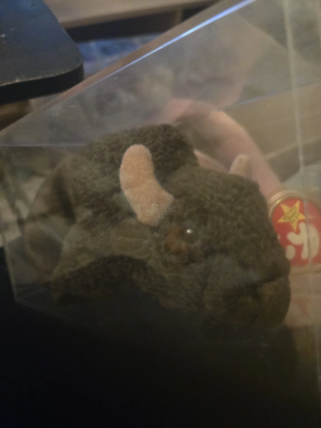 Ty Beanie Baby Roam the Buffalo