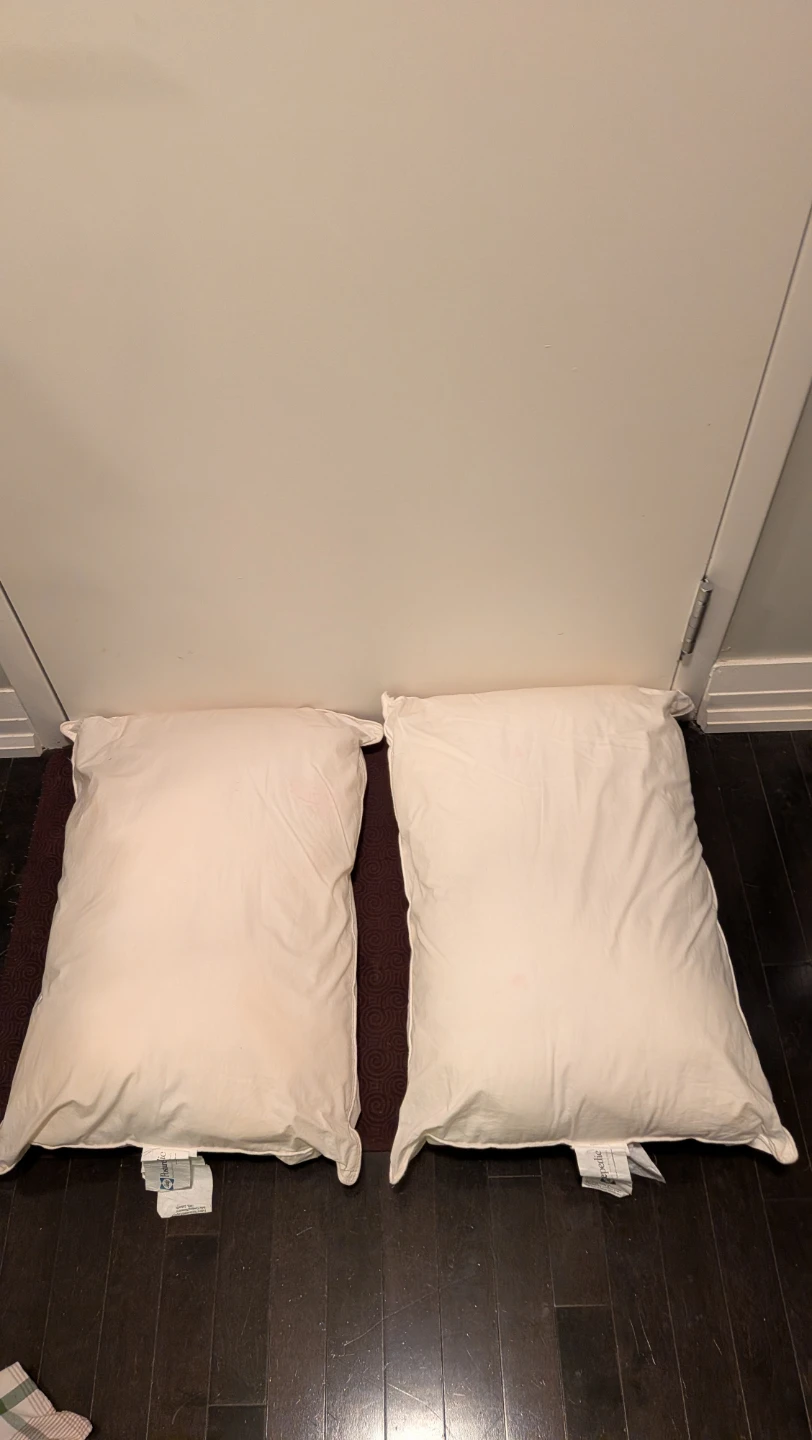 Two Sealy Posturepedic Pillows with Covers - photo 3