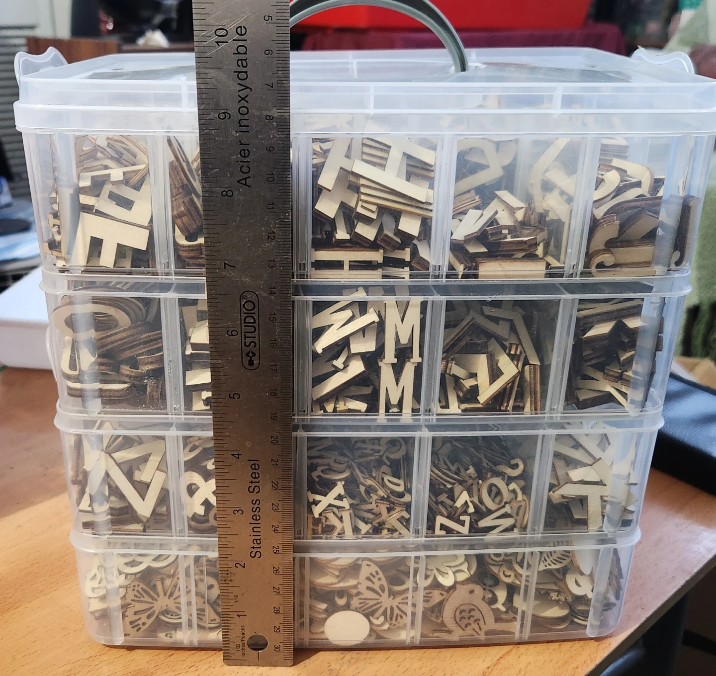 Assorted Wooden Craft Embellishments with Storage Case