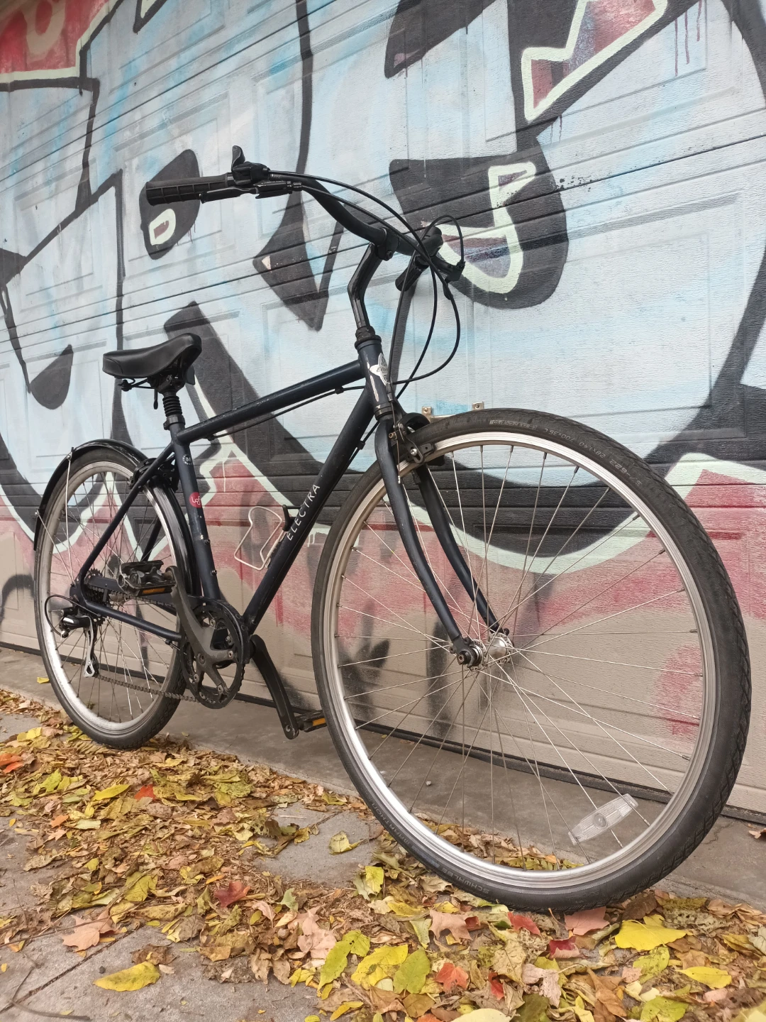 Electra Bike