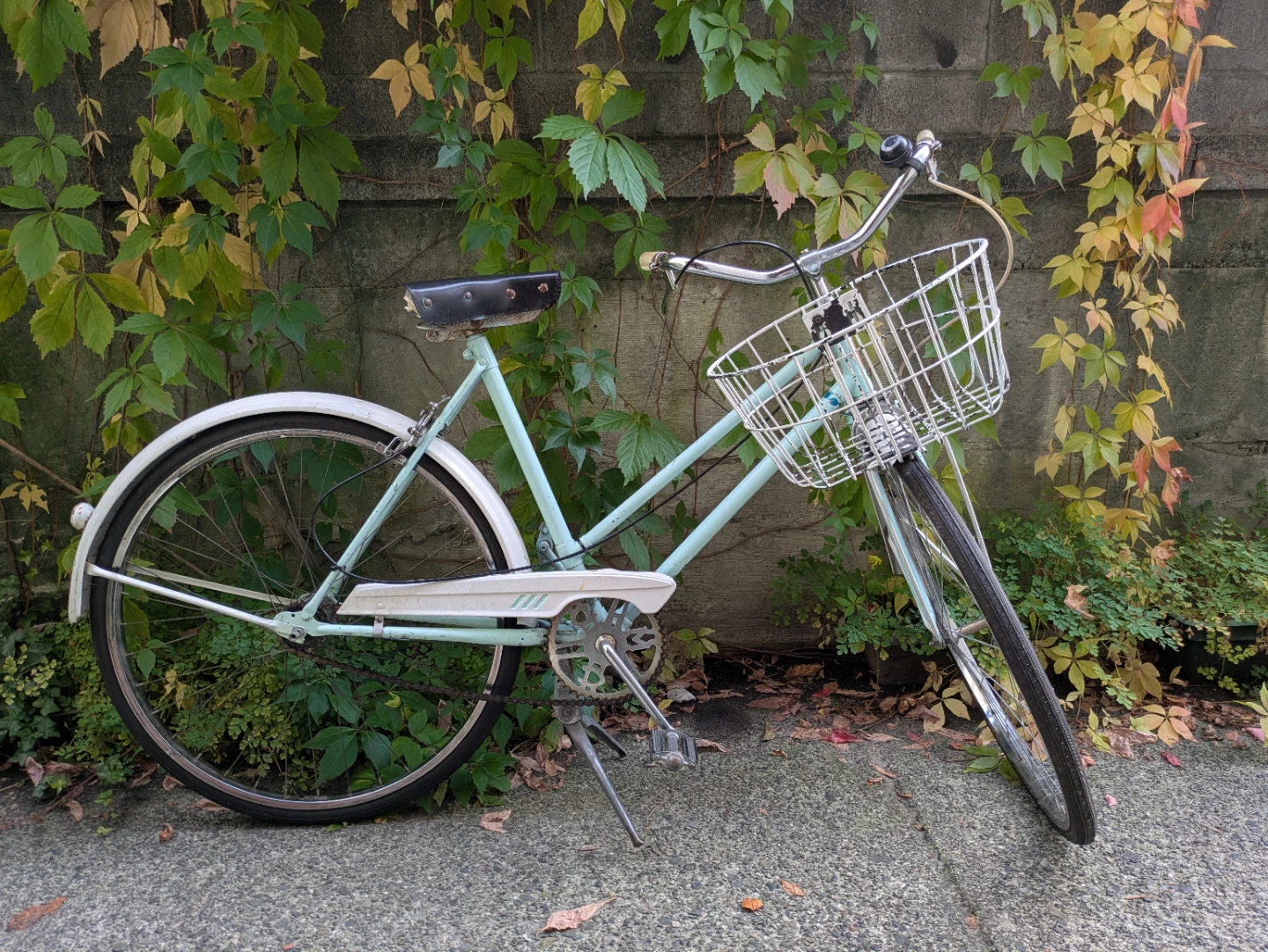 Vintage CCM Cruiser Bicycle with Front Basket - photo 2